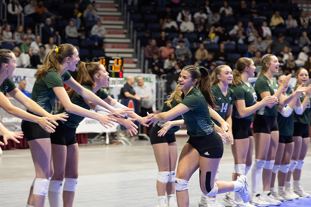 %_tempFileName1M6A2539%