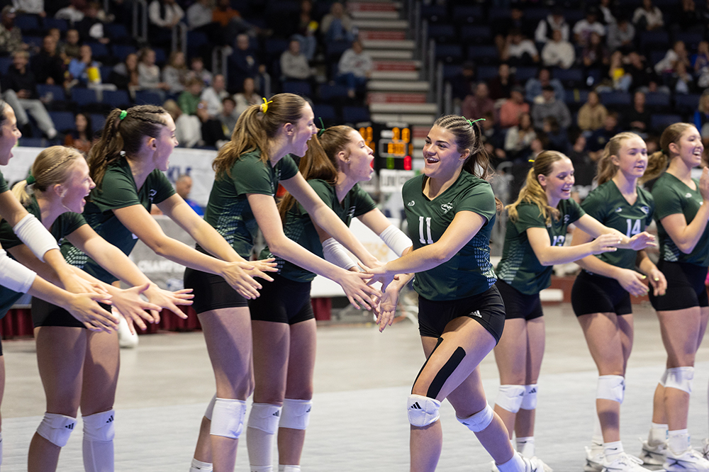 %_tempFileName1M6A2542%