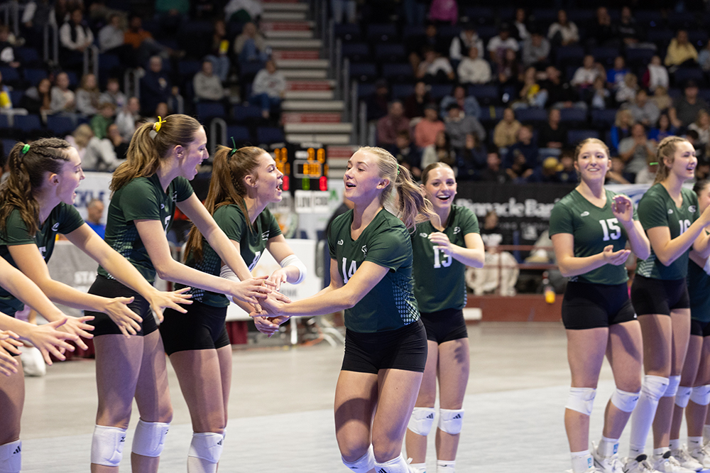 %_tempFileName1M6A2561%