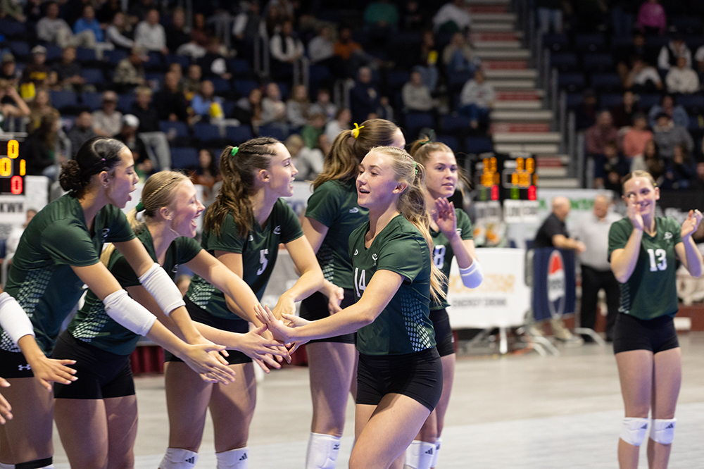 %_tempFileName1M6A2566%