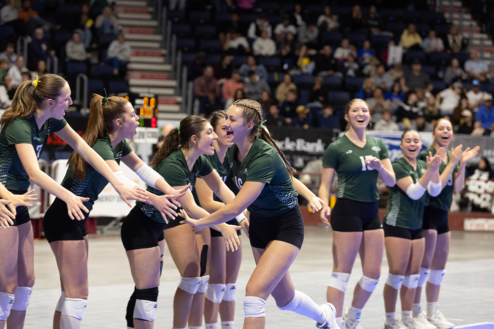 %_tempFileName1M6A2585%