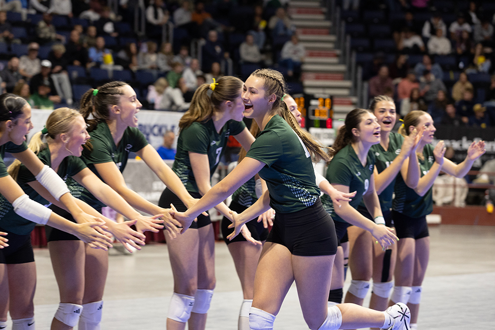 %_tempFileName1M6A2590%