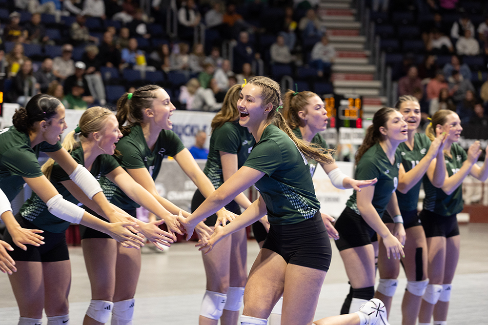 %_tempFileName1M6A2591%