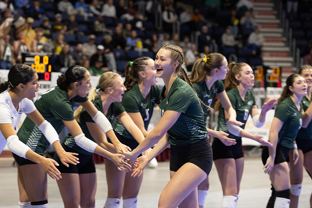 %_tempFileName1M6A2593%