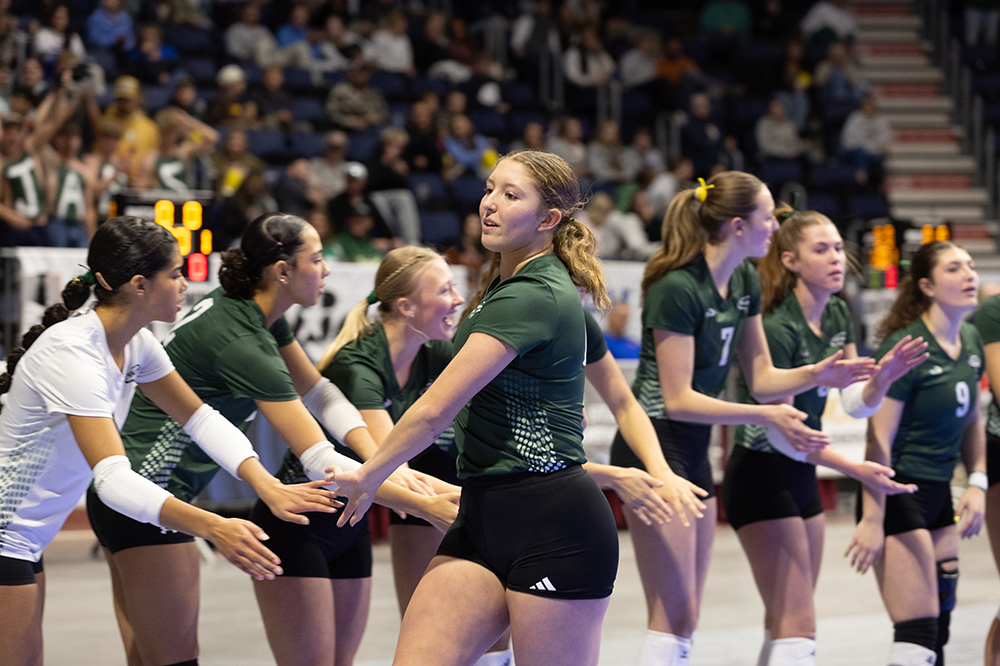 %_tempFileName1M6A2617%