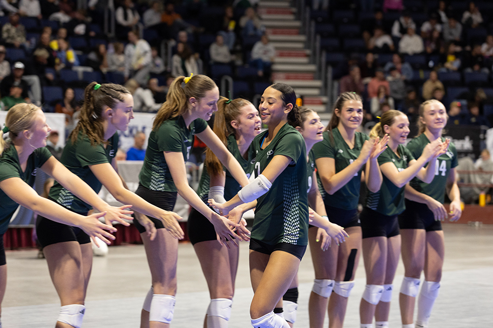 %_tempFileName1M6A2633%