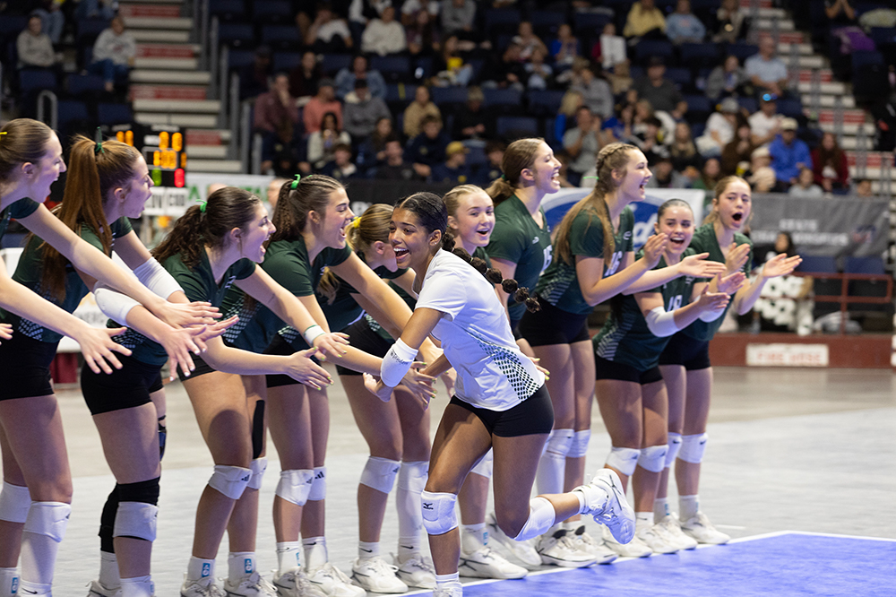 %_tempFileName1M6A2643%