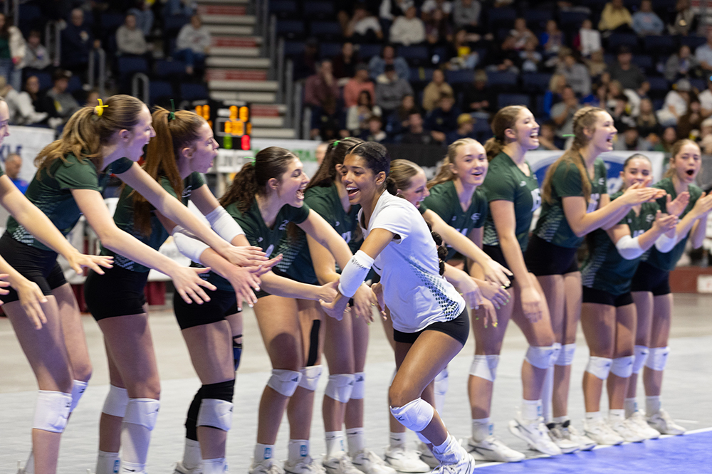 %_tempFileName1M6A2645%