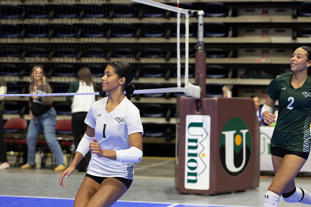 %_tempFileName1M6A2656%