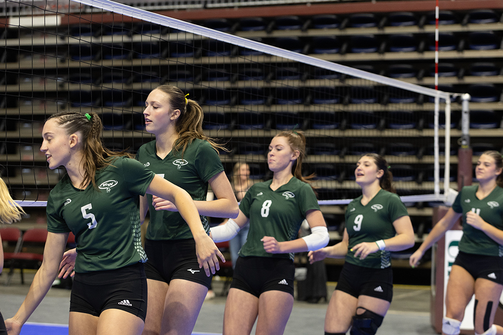 %_tempFileName1M6A2684%