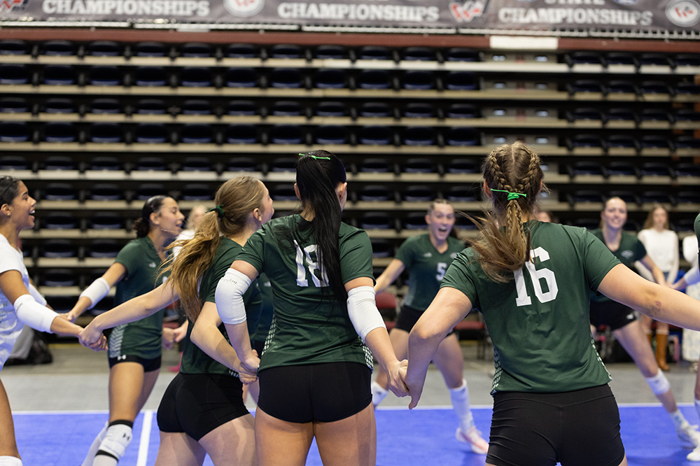 %_tempFileName1M6A2724%