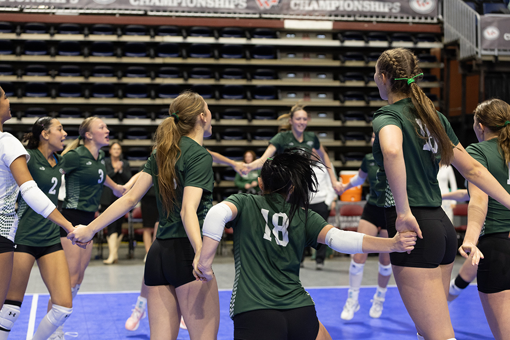 %_tempFileName1M6A2729%