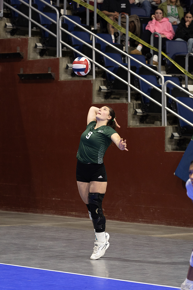 %_tempFileName1M6A2778%