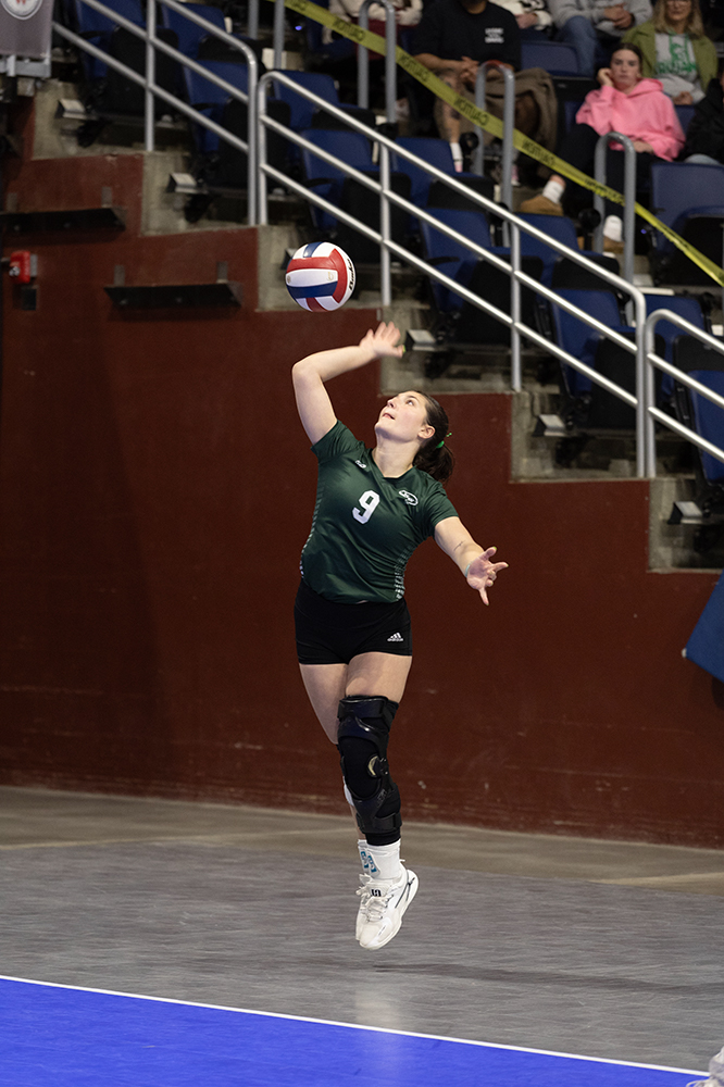 %_tempFileName1M6A2779%