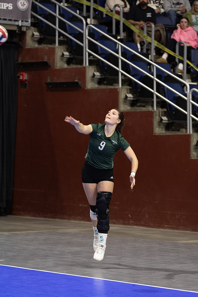 %_tempFileName1M6A2781%