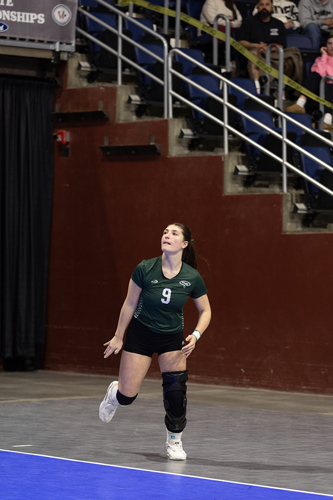 %_tempFileName1M6A2784%