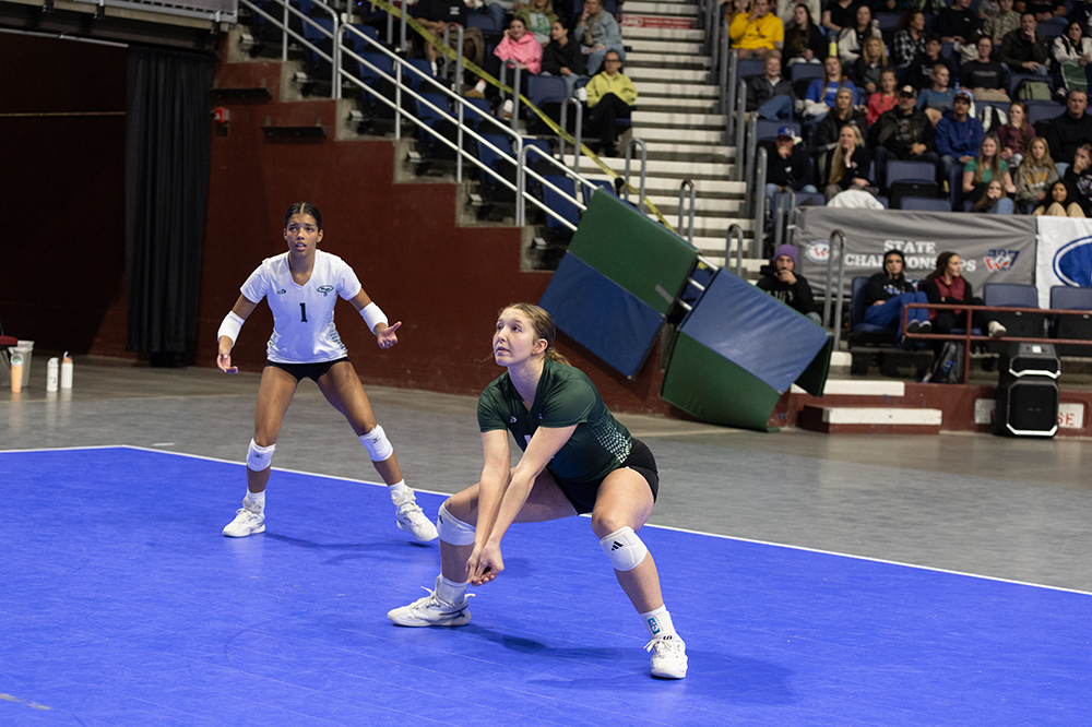 %_tempFileName1M6A2785%