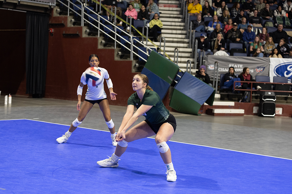 %_tempFileName1M6A2788%