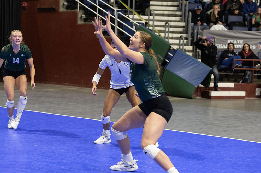 %_tempFileName1M6A2801%