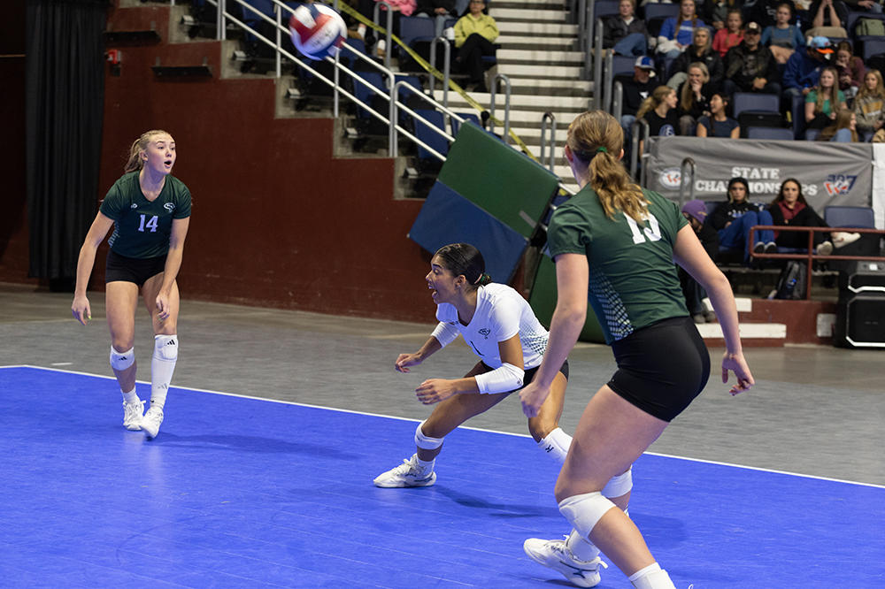 %_tempFileName1M6A2810%