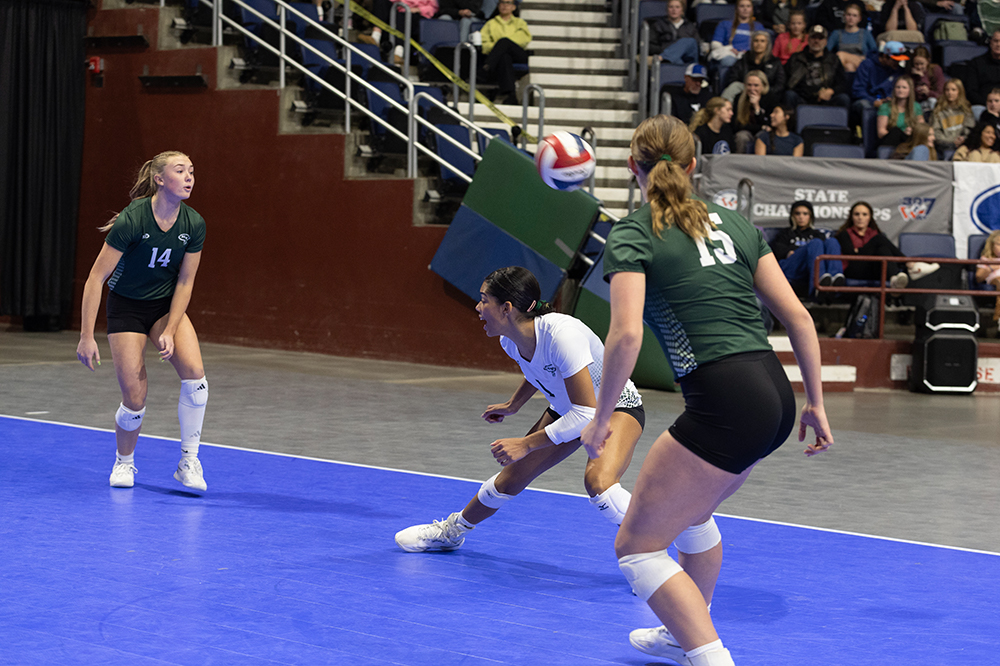 %_tempFileName1M6A2811%