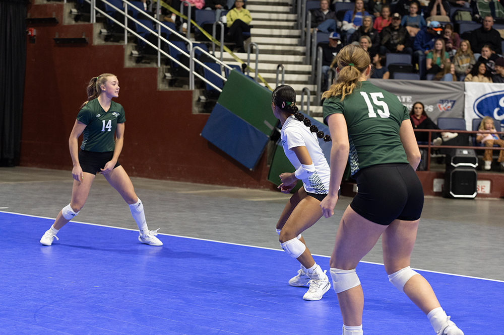 %_tempFileName1M6A2814%