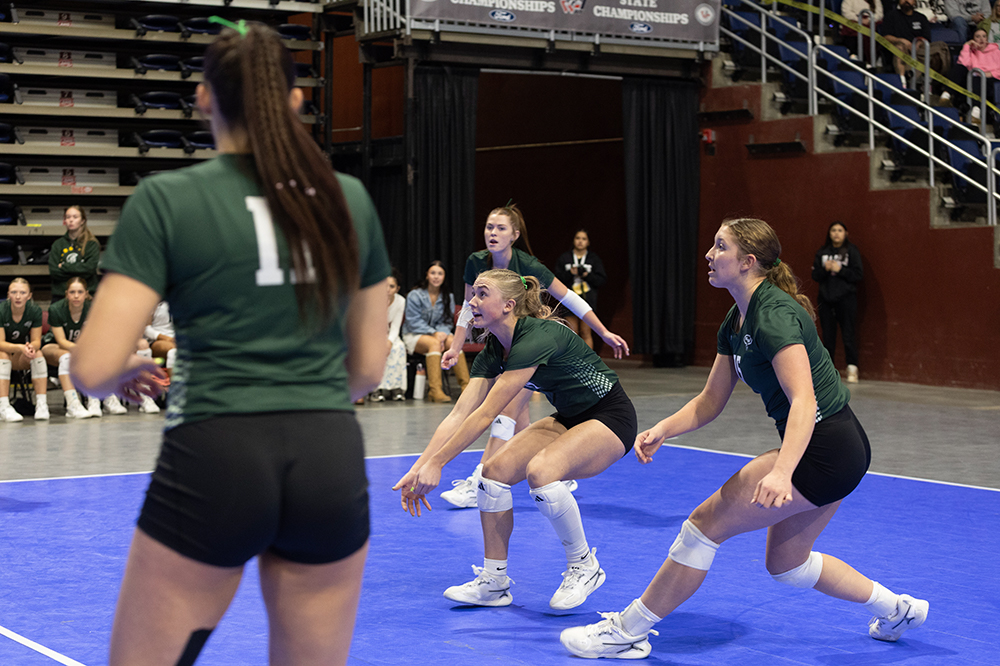 %_tempFileName1M6A2853%