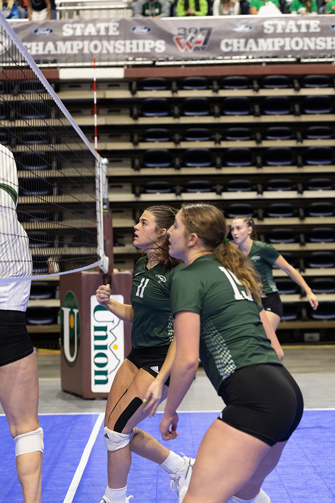 %_tempFileName1M6A2874%