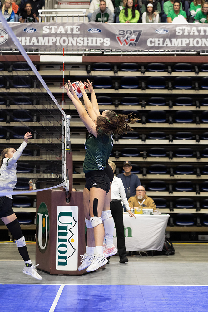 %_tempFileName1M6A2878%