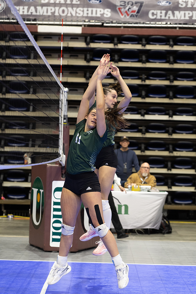 %_tempFileName1M6A2895%