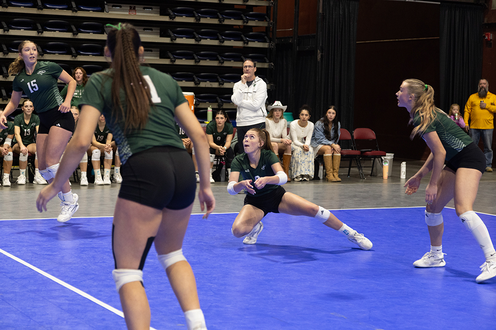 %_tempFileName1M6A2901%