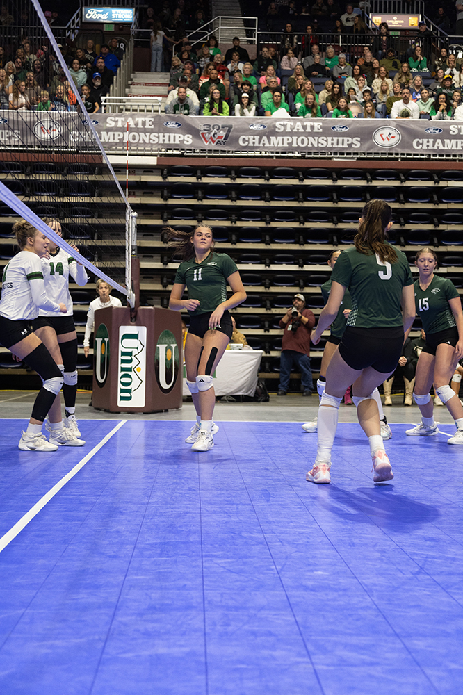 %_tempFileName1M6A2915%