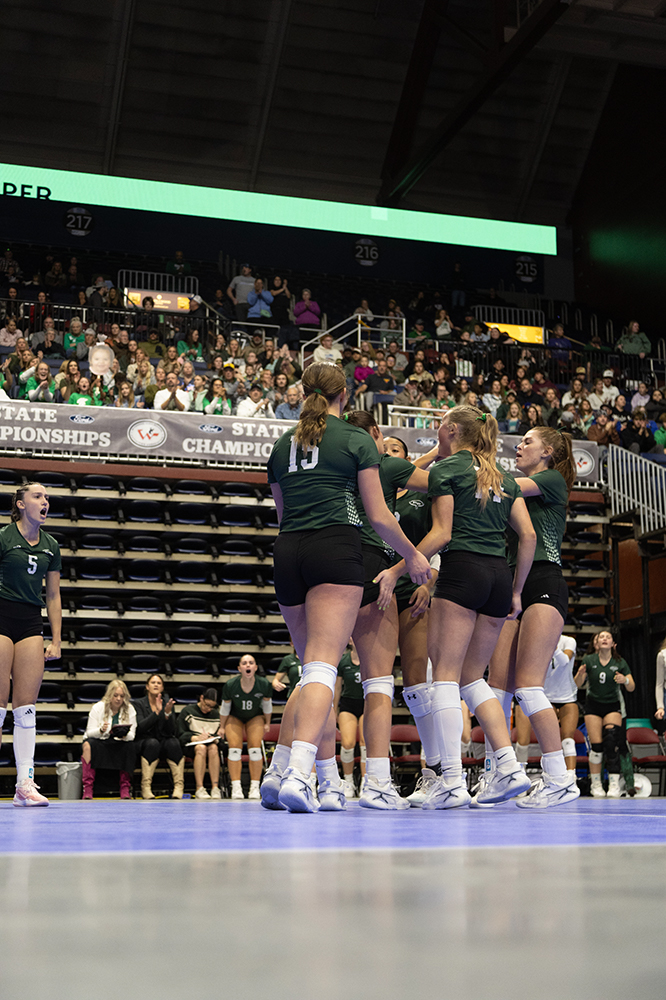 %_tempFileName1M6A2991%