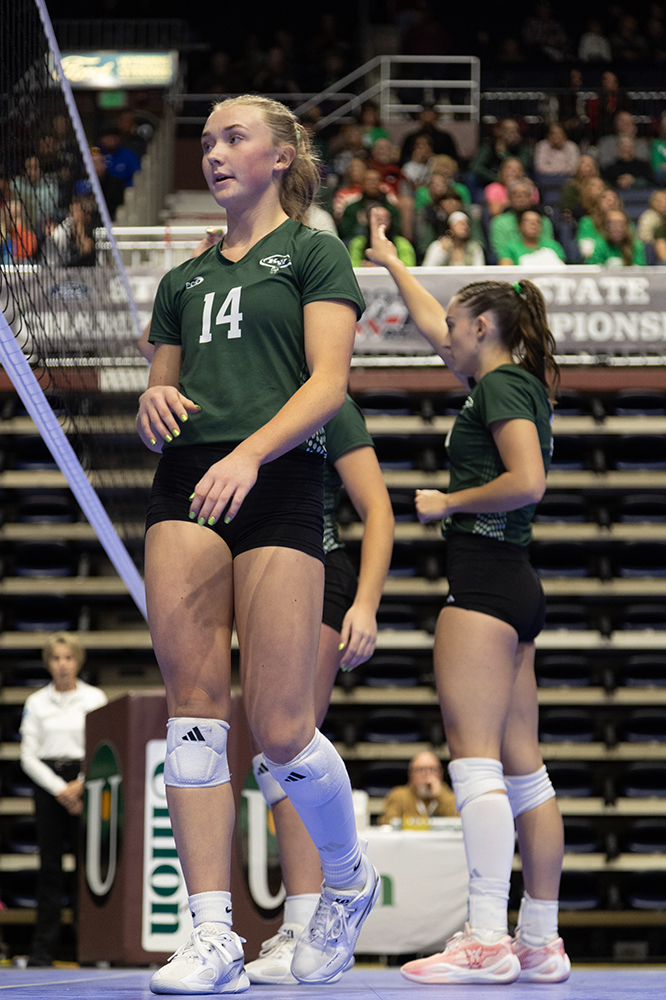 %_tempFileName1M6A3013%