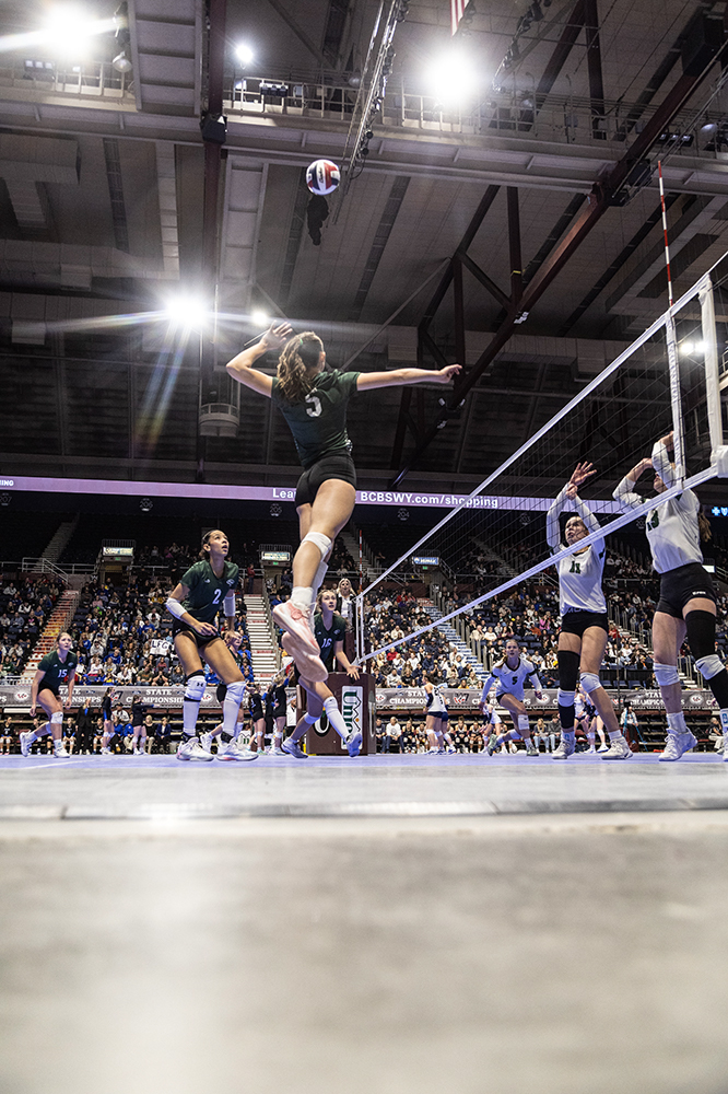 %_tempFileName1M6A3113%