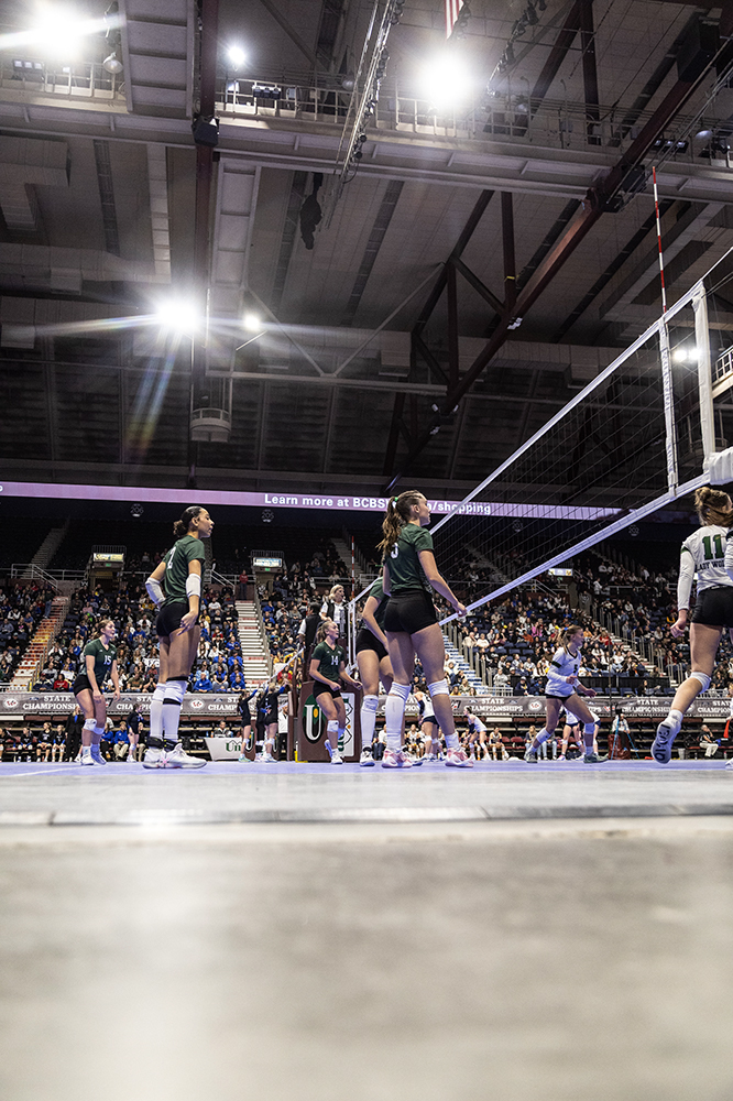 %_tempFileName1M6A3131%