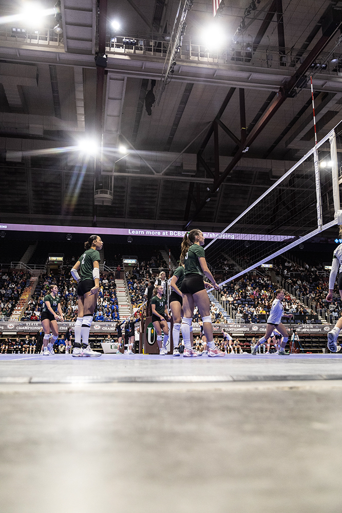 %_tempFileName1M6A3133%