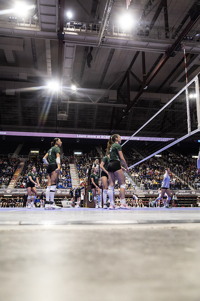 %_tempFileName1M6A3134%