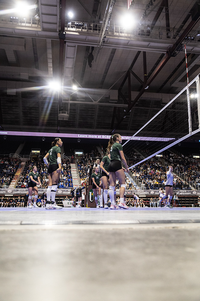 %_tempFileName1M6A3135%