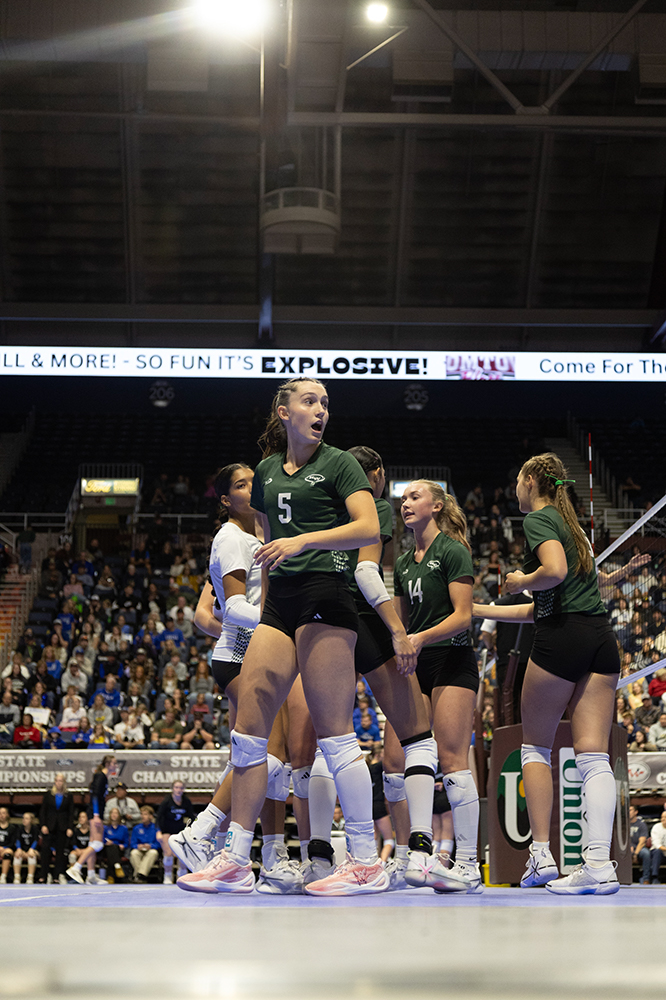 %_tempFileName1M6A3142%