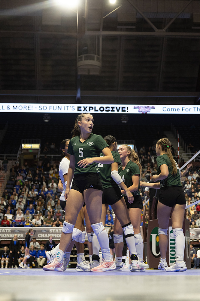 %_tempFileName1M6A3143%