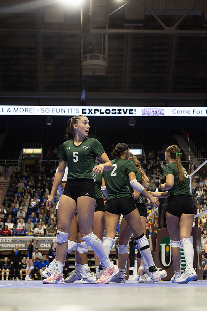 %_tempFileName1M6A3145%