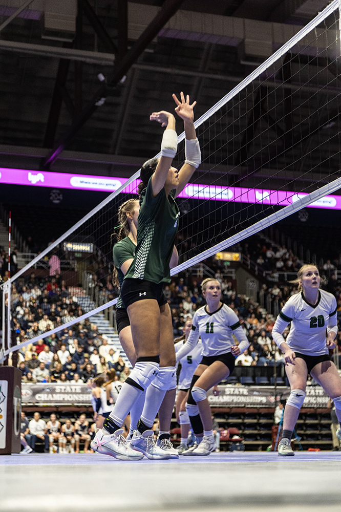 %_tempFileName1M6A3163%