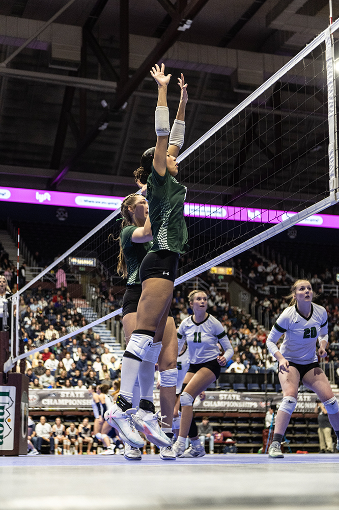 %_tempFileName1M6A3164%