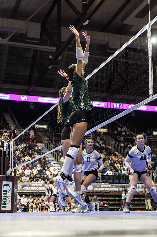 %_tempFileName1M6A3165%