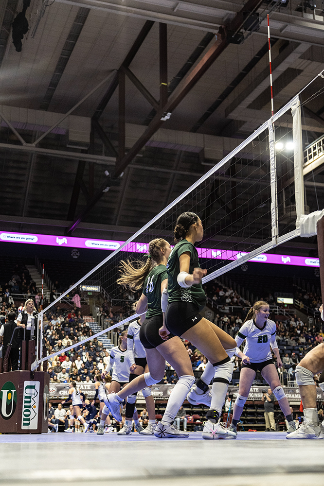 %_tempFileName1M6A3174%