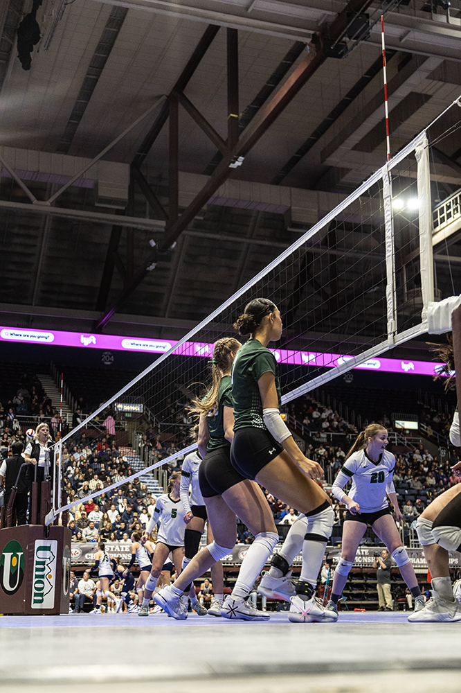 %_tempFileName1M6A3175%