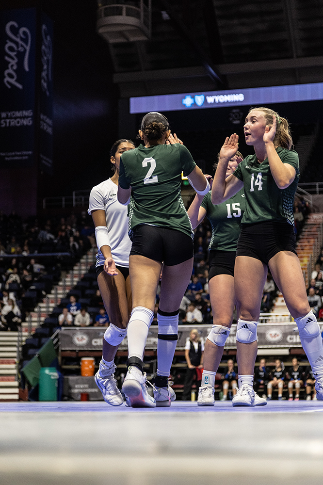 %_tempFileName1M6A3233%