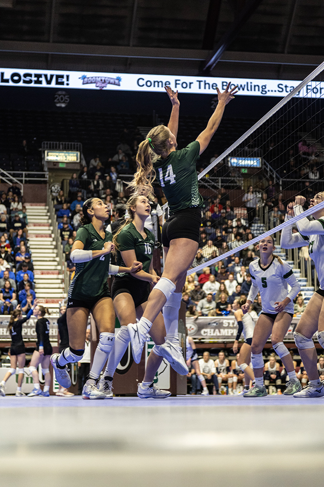 %_tempFileName1M6A3239%