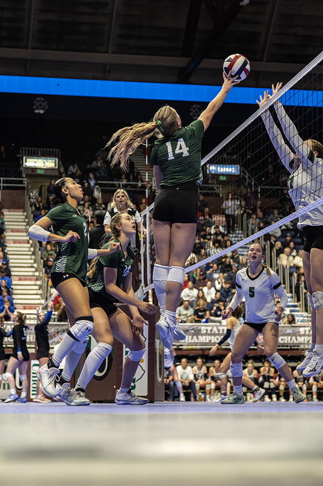 %_tempFileName1M6A3242%